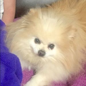 Meet your Posher, Zaira